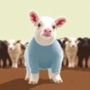 Оборудование для животноводства от производителя: стойла, доильные системы, навозоудаление и доставка по России